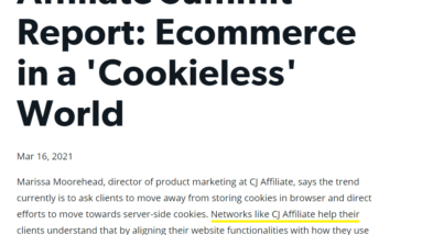 the cookieless future and ecommerce 3 ways to adapt