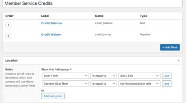 how i built a service credit system for my membership site