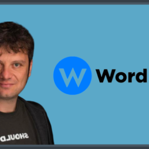 how andrea volpinis seo wordpress plugin reached over 1 million in sales