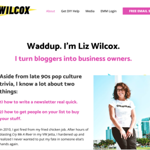 how liz wilcox makes 20k month teaching her email marketing secrets