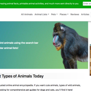 how a z animals traffic just exploded up to 6 9 million monthly visitors