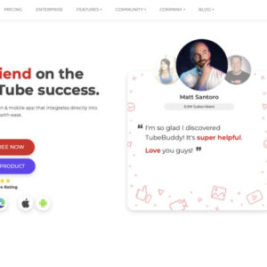 tubebuddy review will it help you grow your youtube channel